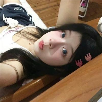 元首的面孔封面