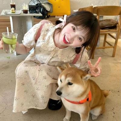 班尼的录影带封面